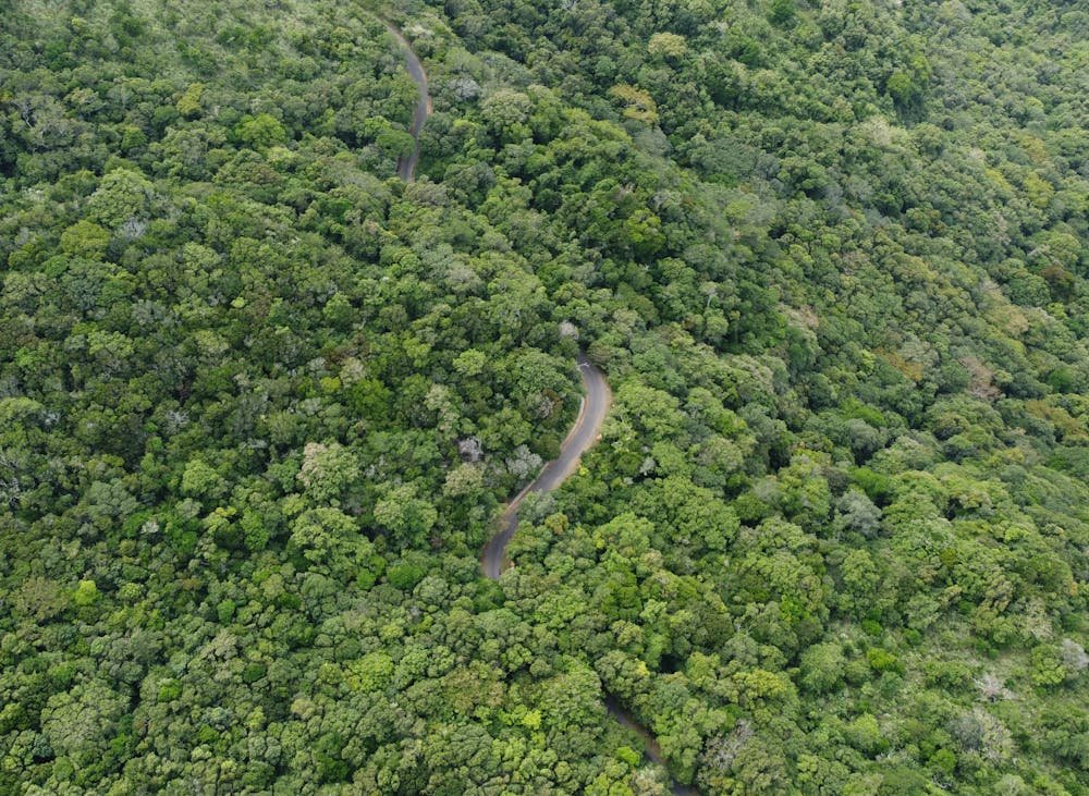 Jungle Trekking in Sri Lanka