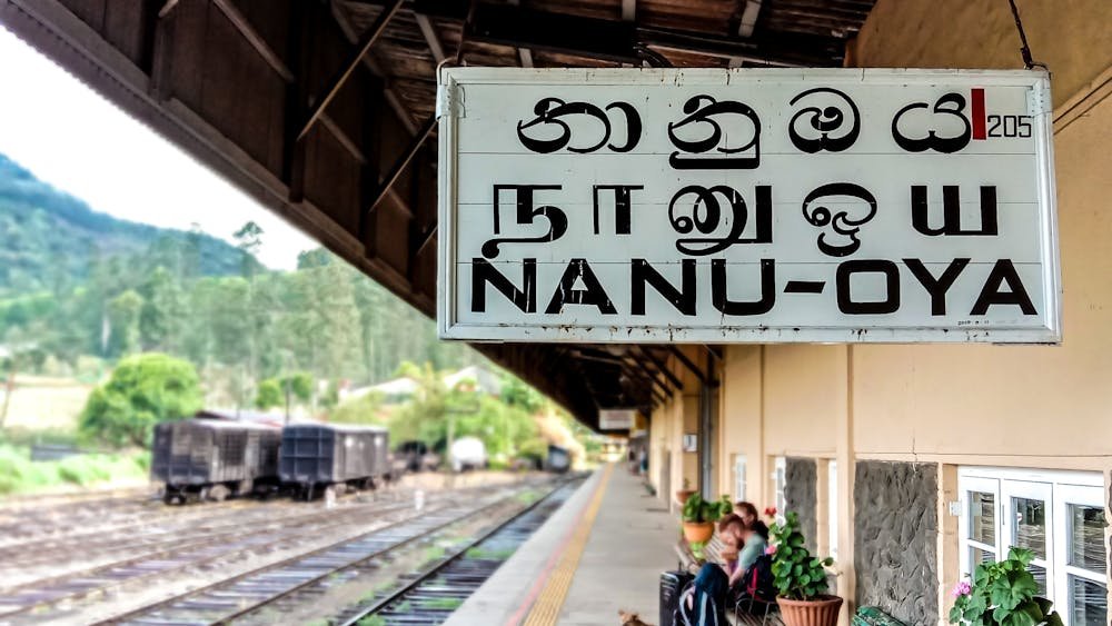 Nanu Oya to Ella Train