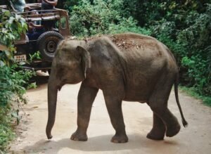 Sri Lanka 2 Week Itinerary