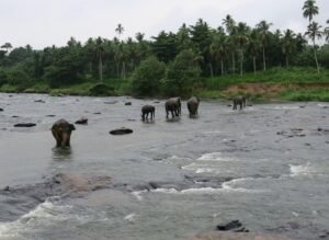 Sri Lanka 4 Day Itinerary