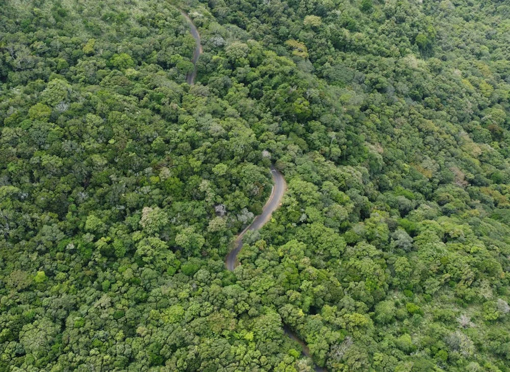 Jungle-Trekking-in-Sri-Lanka-2