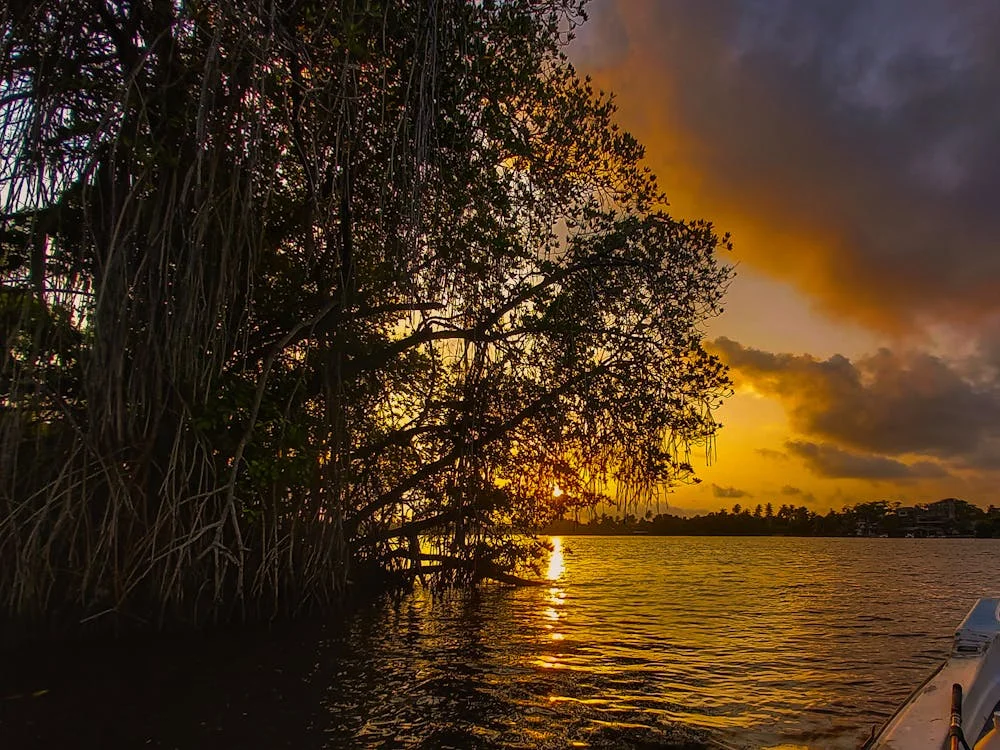 Places-to-Visit-in-Bentota