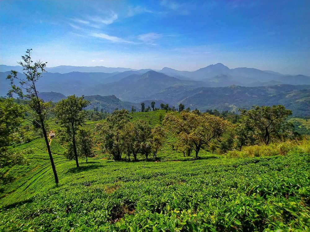 Sri Lanka Itinerary for June