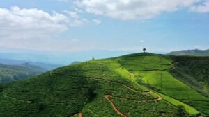 Sri Lanka Itinerary for November