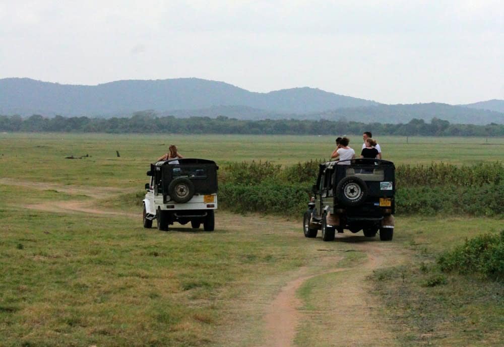 Minneriya National Park