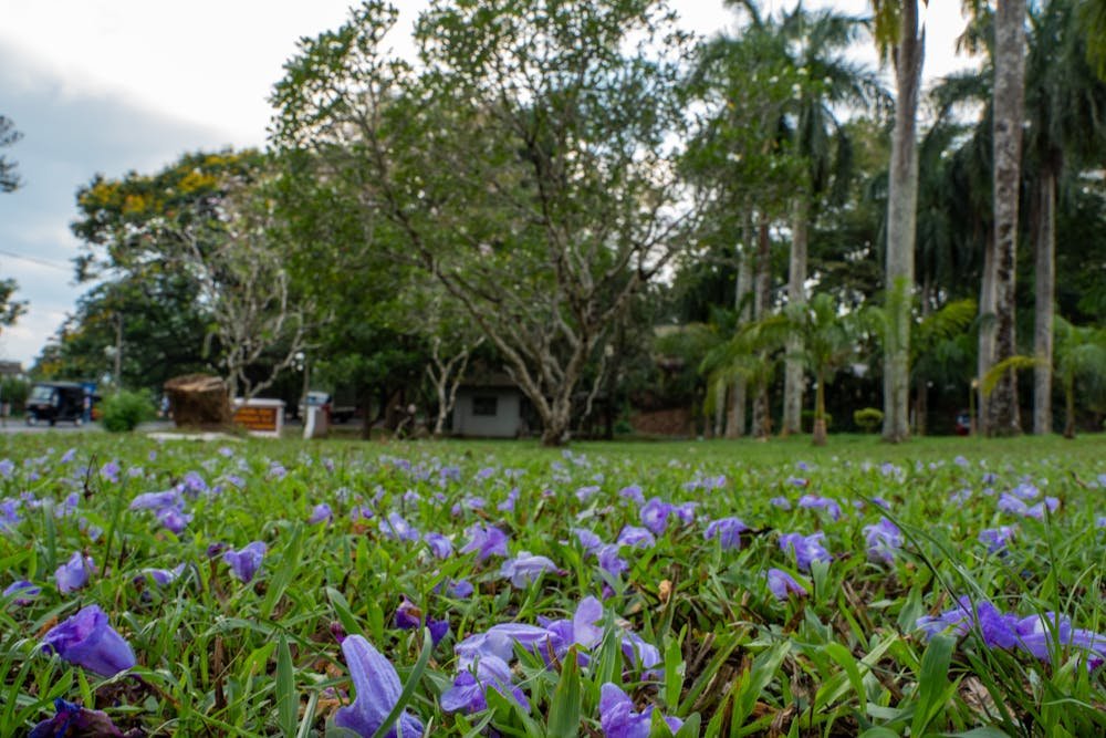 Royal Botanical Gardens