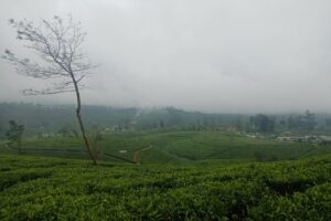 Sri Lanka 7 Day Itinerary