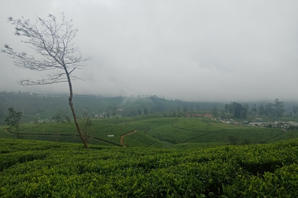 Sri Lanka 7 Day Itinerary