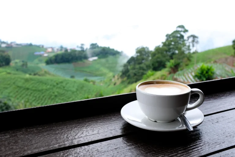 Lipton's Seat: A Gentle Tea Estate Hike