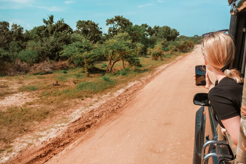 Yala National Park safari View