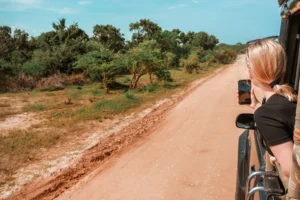 Yala National Park safari View