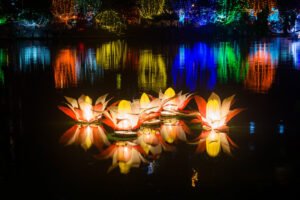 vesak festival in sri lanka