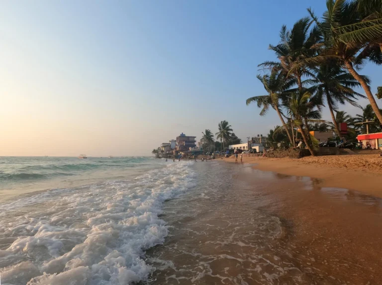 Things to Do on the East Coast: Sri Lanka