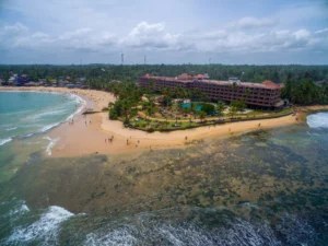 Things to Do on the East Coast: Sri Lanka