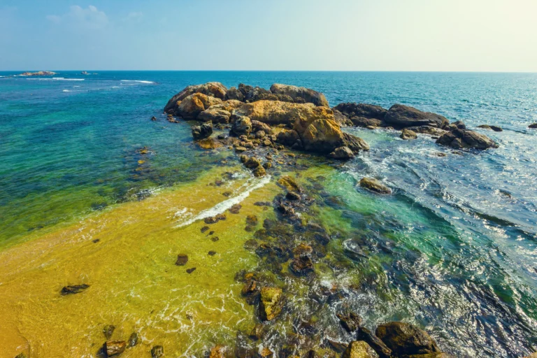 pigeon island in sri lanka